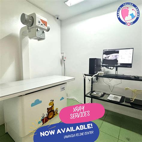 manila feline center reviews|Manila Feline Center.